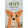 Maya - Sokaklardan Barınağa ve Sonunda Bir Yuvaya