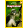 Maymunlar