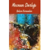 Mecnun Darlığı