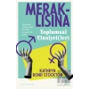 Meraklısına Toplumsal Cinsiyet(ler)