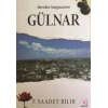 Mervden Anaypazarına Gülnar