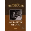 Metafizik Nedir?