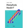 Metafizik Nedir?