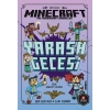 Minecraft - Yarasa Gecesi