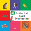 Minik Kitaplarım – Evcil Hayvanlar