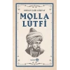 Molla Lütfi