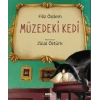 Müzedeki Kedi