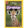 National Geographic Kids – Zürafalar