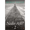 Nedir Aşk?