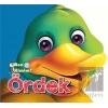 Ördek