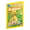 Ördekler