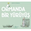 Ormanda Bir Yürüyüş