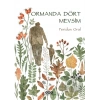 Ormanda Dört Mevsim