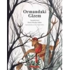 Ormandaki Gizem