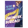 Örümcek Burgacı