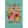 Peygamberimizin Çevresindeki Hanımlar