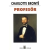 Profesör