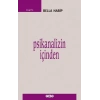 Psikanalizin İçinden