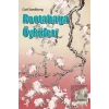 Rootabaga Öyküleri
