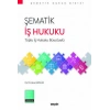 Şematik İş Hukuku Toplu İş Hukuku Boyutuyla