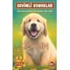Sevimli Konuklar-1 Lokum