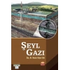 Şeyl Gazı