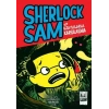 Sherlock Sam ve Uzaylılarla Karşılaşma