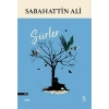 Şiirler