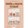 Sindirim ve Boşaltım Sistemleri – Gençler İçin Çizgilerle Bilim