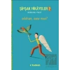 Şipşak Hikayeler 2 / Anlatsam İnanır mısın?