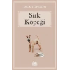 Sirk Köpeği
