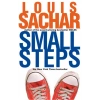 Small Steps