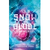Snowglobe