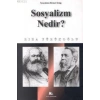 Sosyalizm Nedir