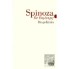 Spinoza: Bir Başlangıç