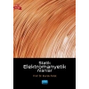 Statik Elektromanyetik Alanlar