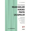 Tamamı Çözümlüİnsan Hakları Hukuku Pratik Çalışmalar