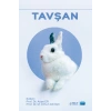 Tavşan