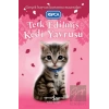 Terk Edilmiş Kedi Yavrusu