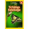 Tırtıldan Kelebeğe
