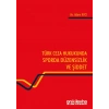 Türk Ceza Hukukunda Sporda Düzensizlik ve Şiddet