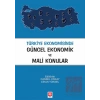 Türkiye Ekonomisinde Güncel Ekonomik ve Mali Konular