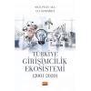 Türkiye Girişimcilik Ekosistemi (2001-2020)