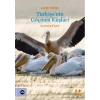 Türkiye’nin Göçmen Kuşları