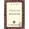 Türklük Meseleleri