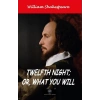 Twelfth Night Or What You Will