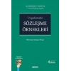 UygulamadaSözleşme Örnekleri