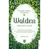 Walden Ormanda Yaşam