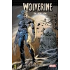 Wolverine - Son