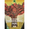 Yaşanmamış Aşk